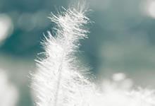 法國法令2019-1007協調與某些非食品產品安全有關的監管規定