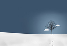 法國(guó)法令2019-1007協(xié)調(diào)與某些非食品產(chǎn)品安全有關(guān)的監(jiān)管規(guī)定